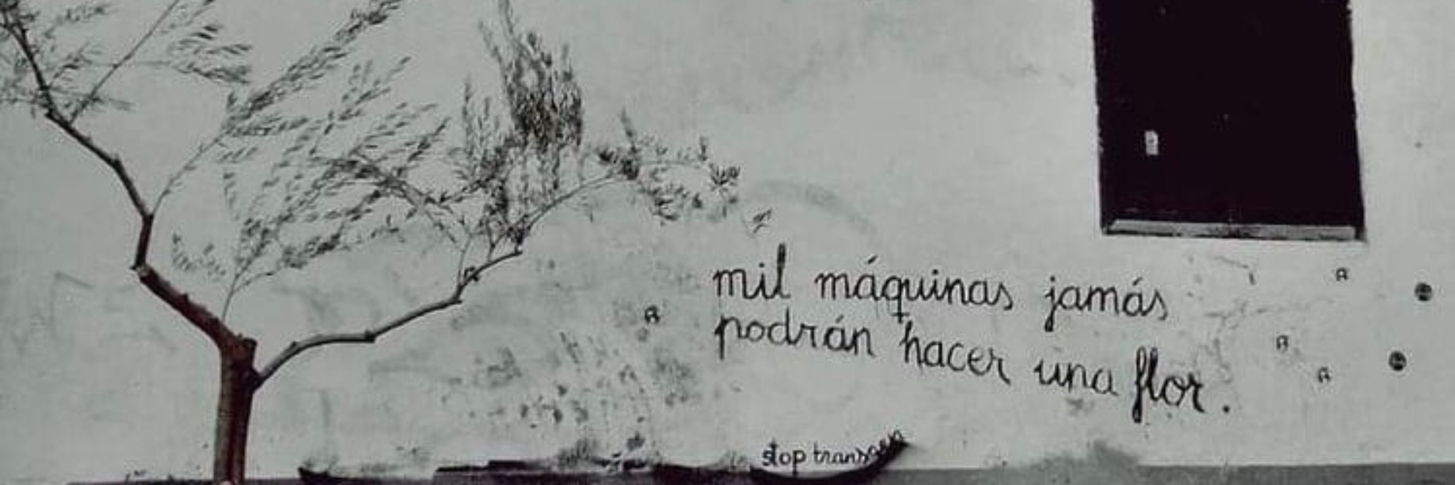 marleny