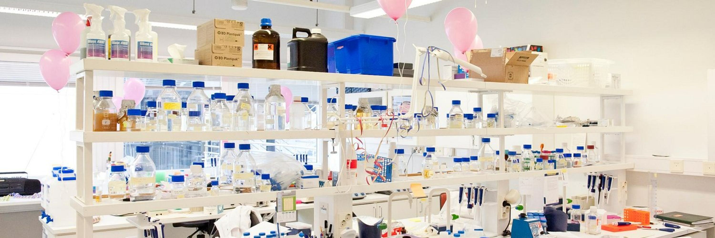 Ivaska Lab