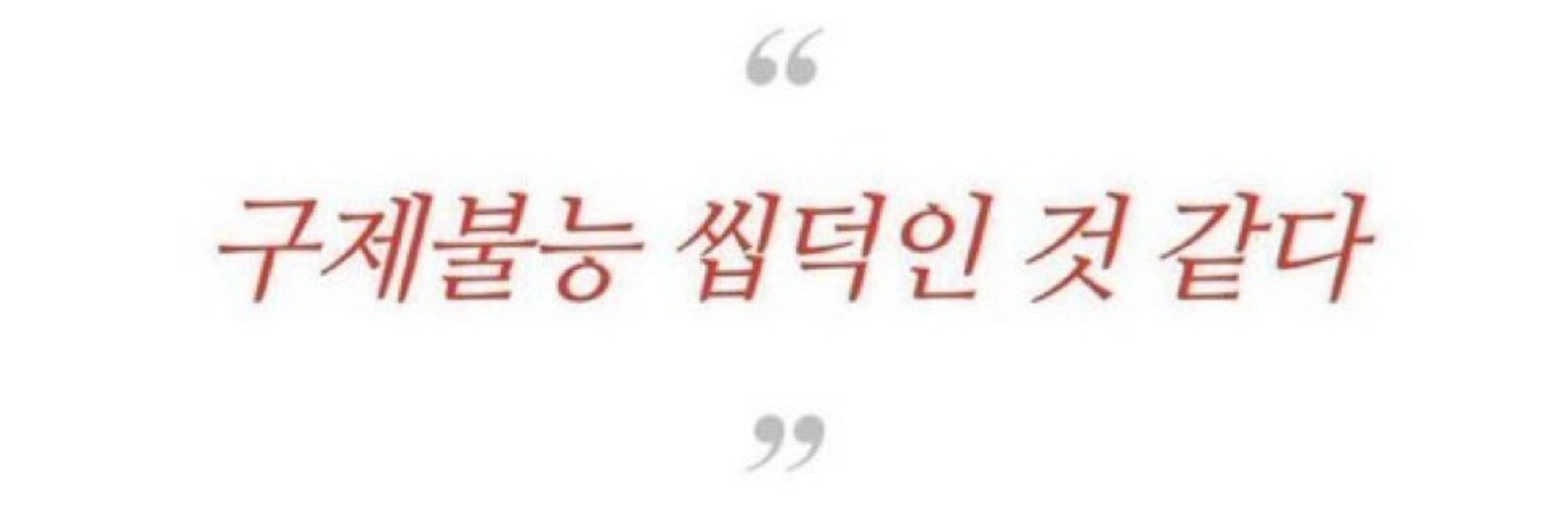 샷