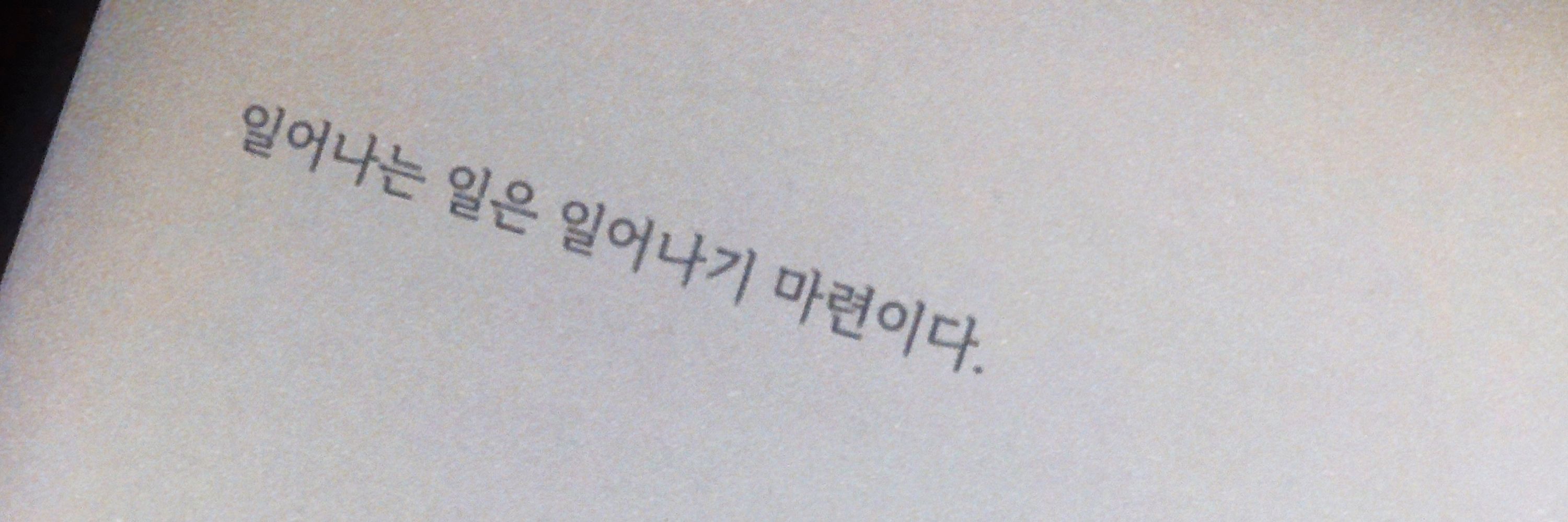 느림보곰
