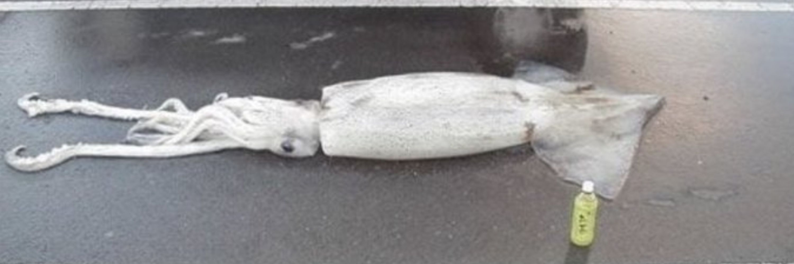 Decadencia y peluqueros