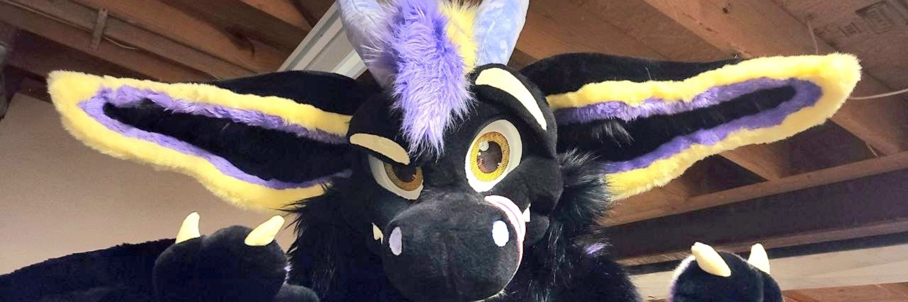 The Dad Dragon