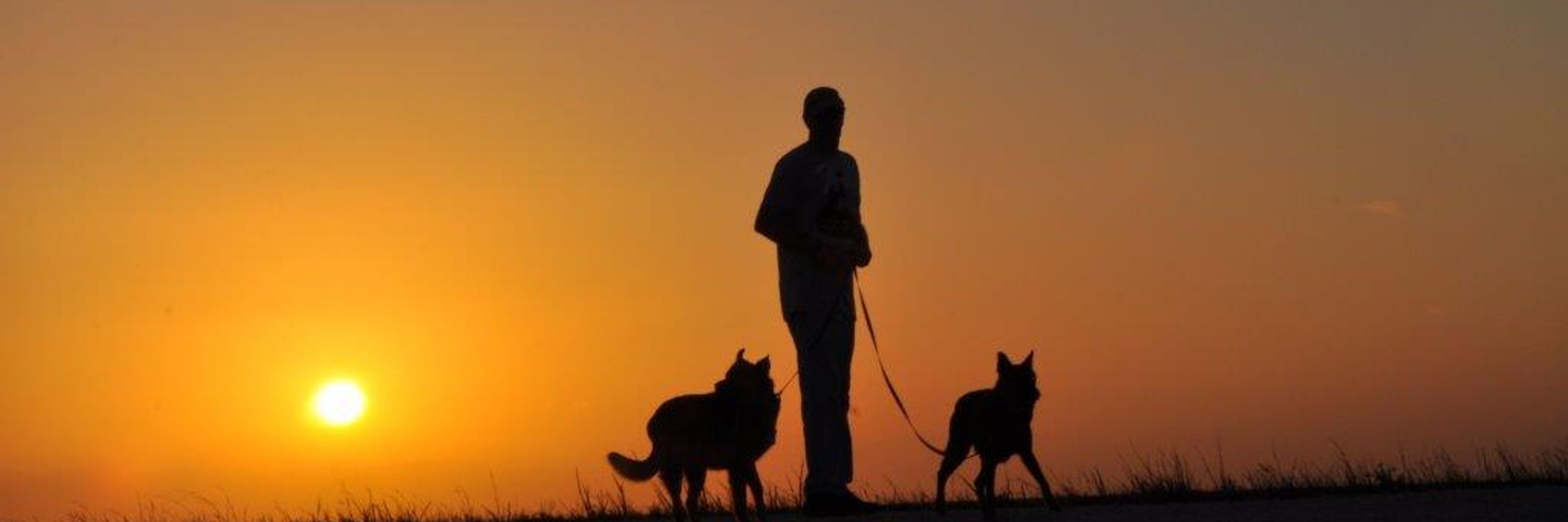 Twa Dugs