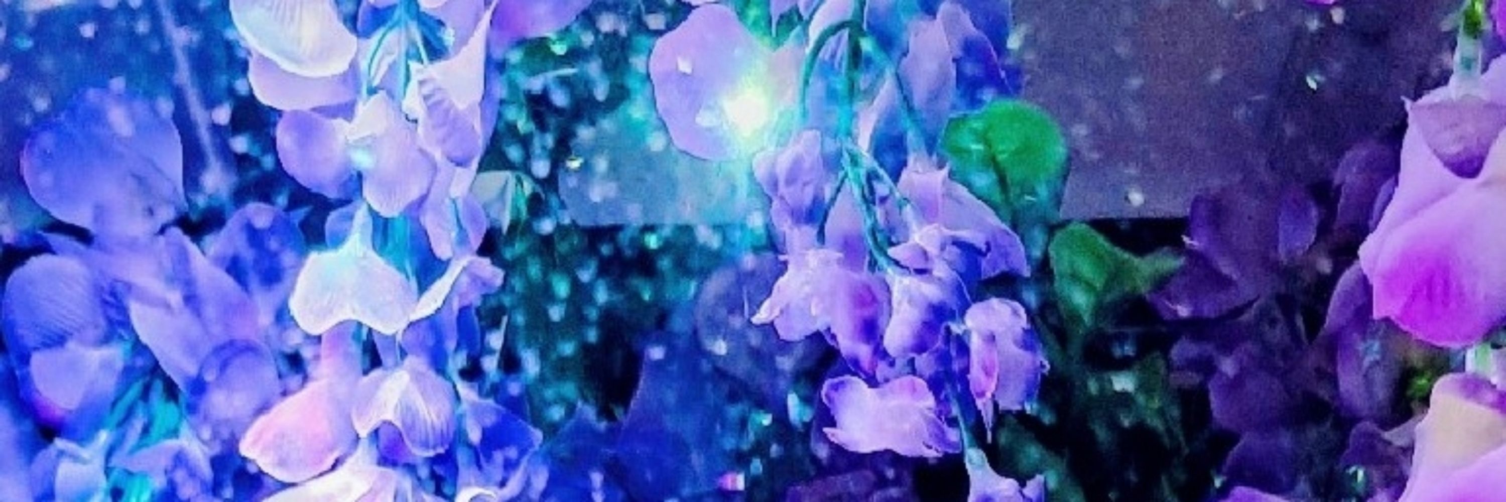 匿名J