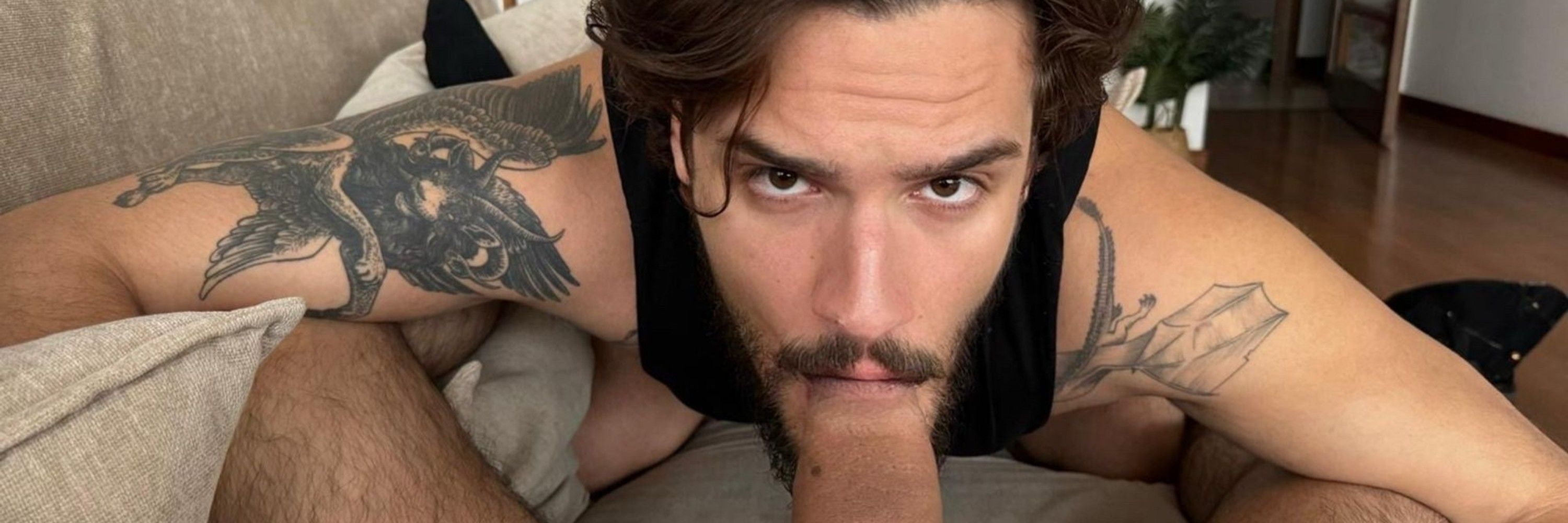 gay