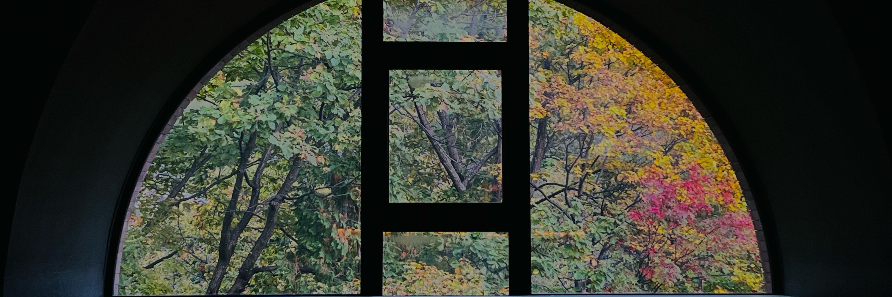 UMR