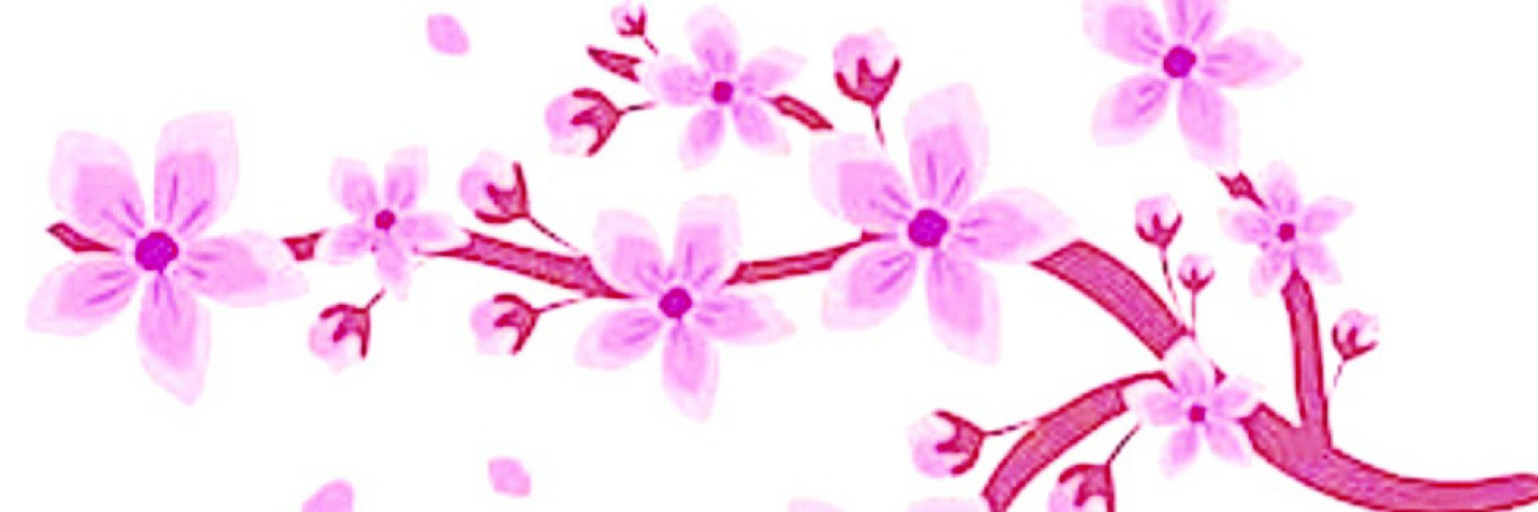 𝕃𝕚𝕝𝕝𝕪 🌸