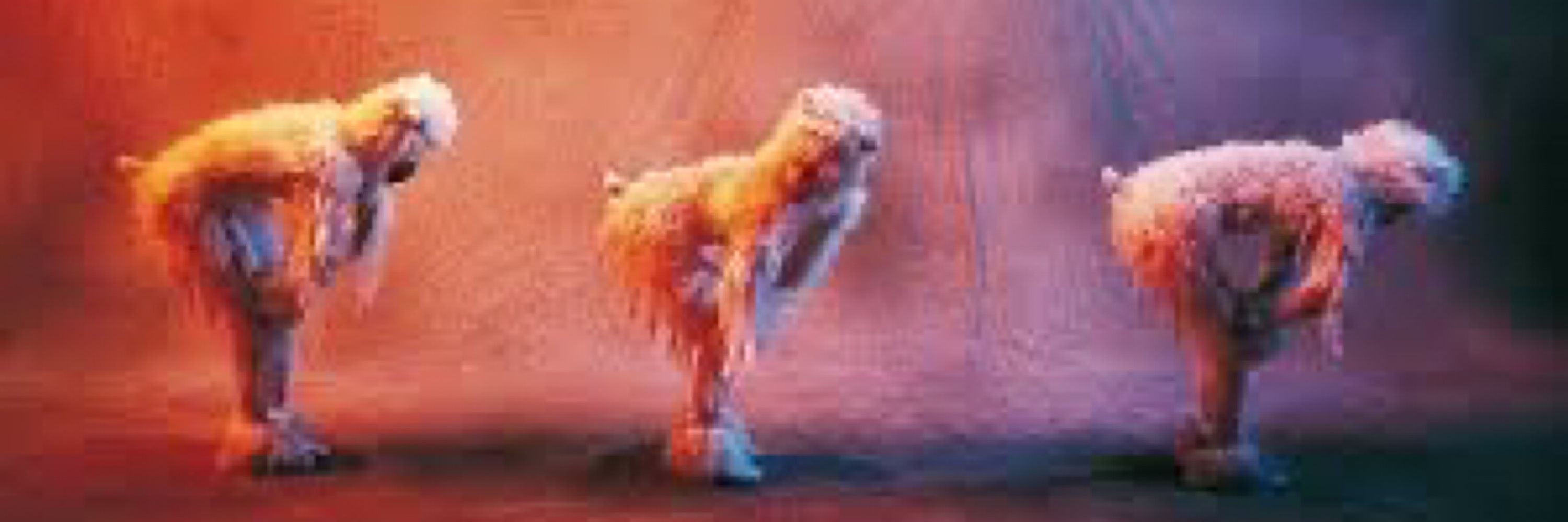 ARTE