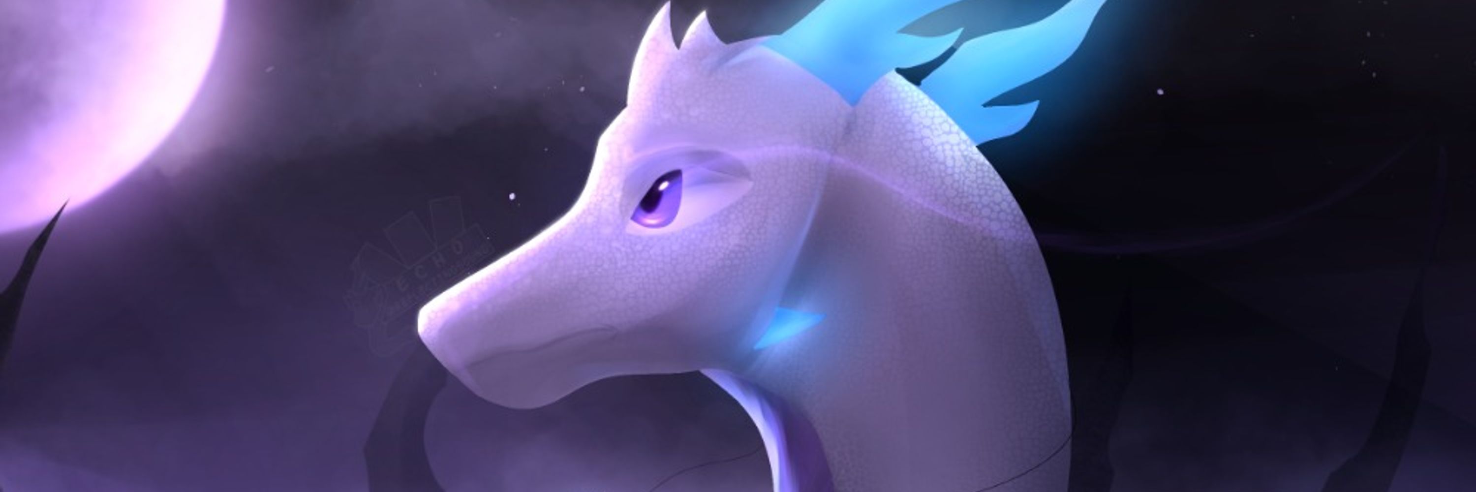 Echo