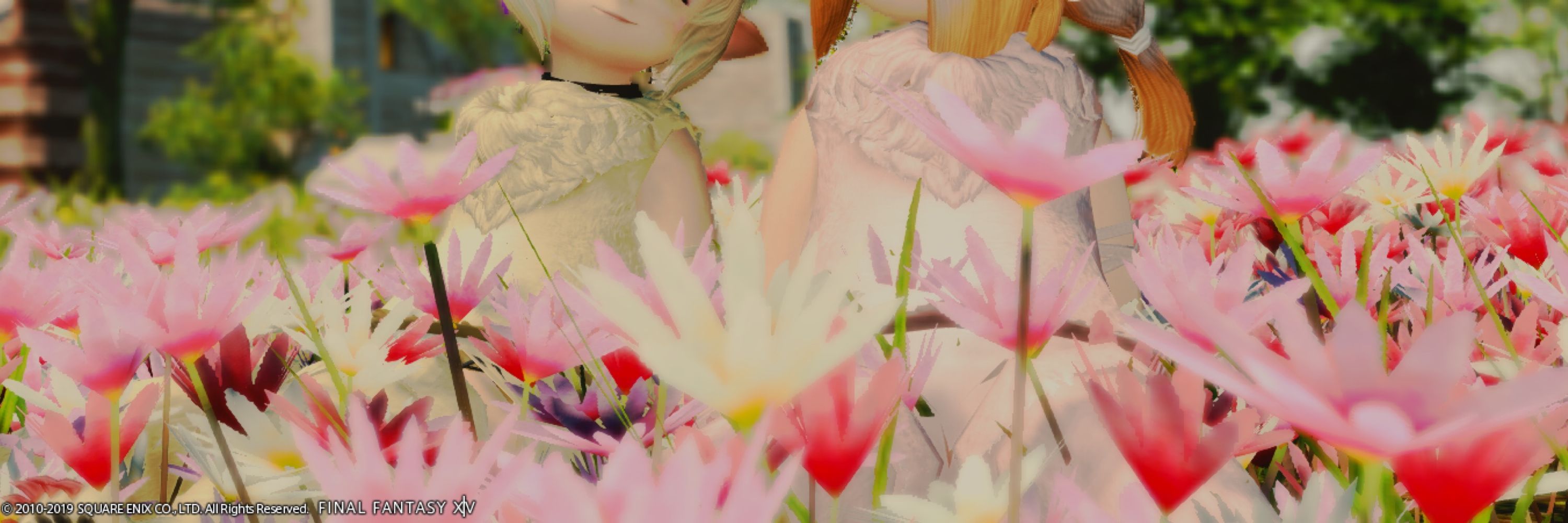 ▹▸﻿由真