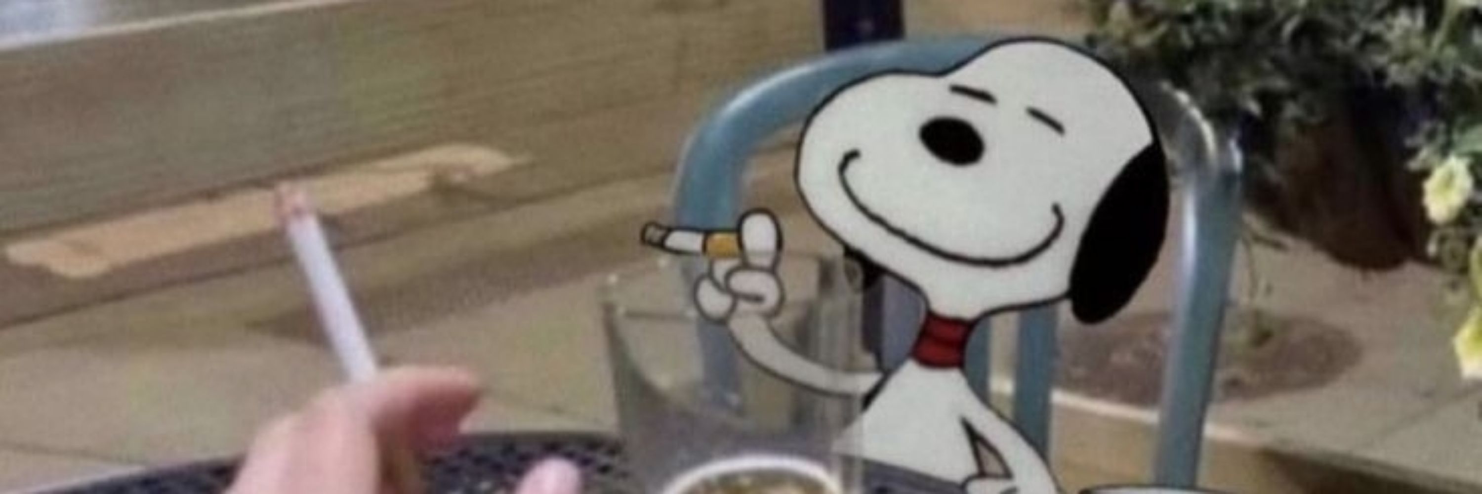 cazinho