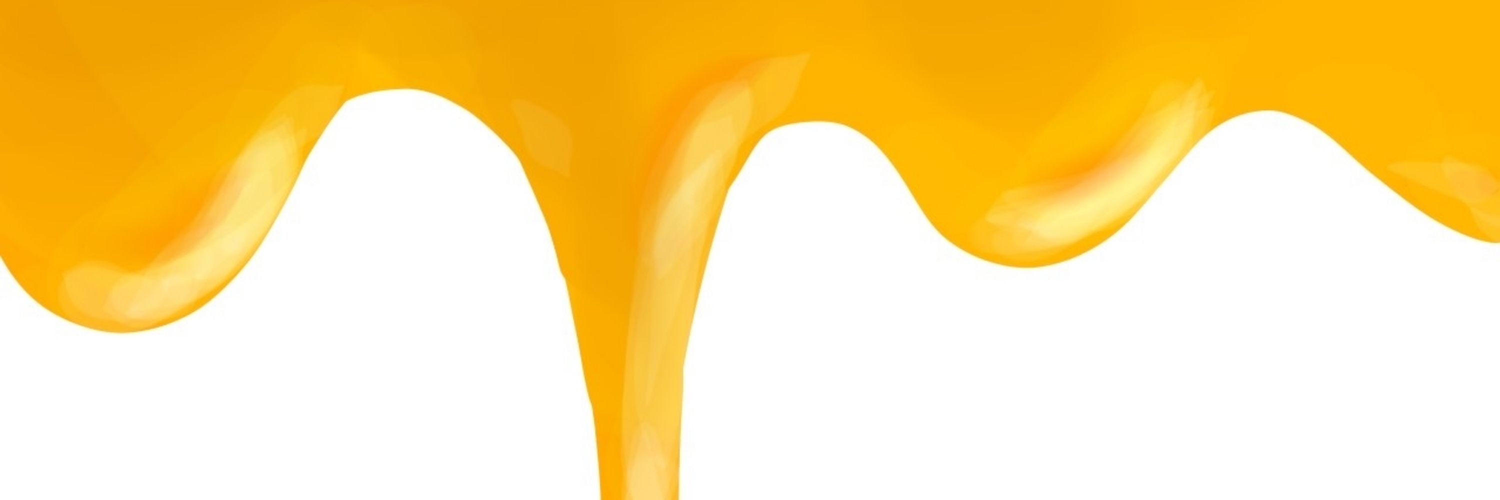 ハチヲ