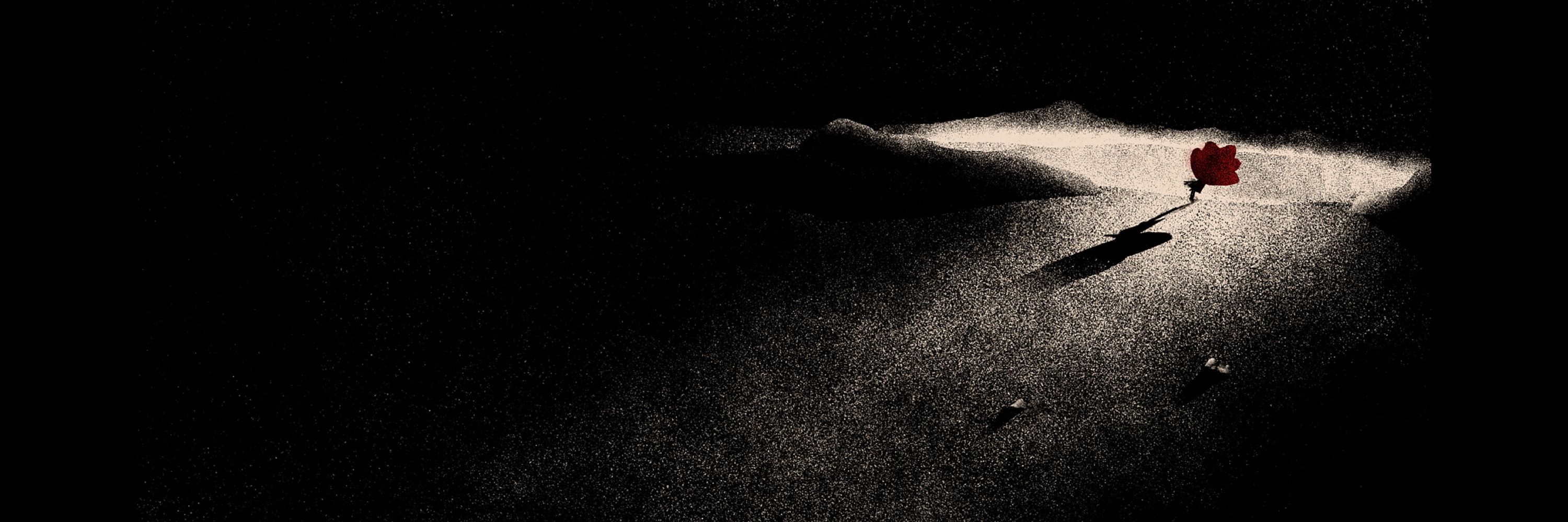Valentin Riedl