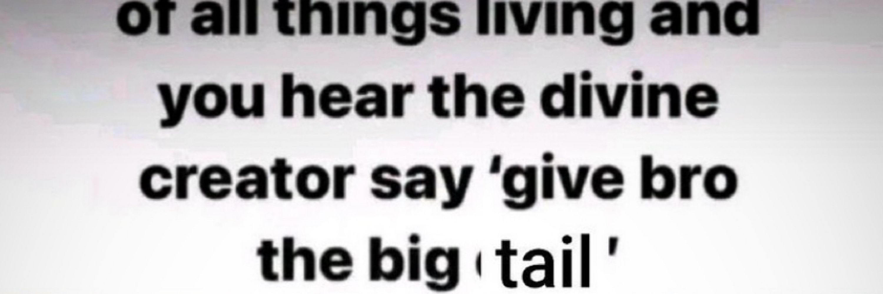 tailfat 🔞
