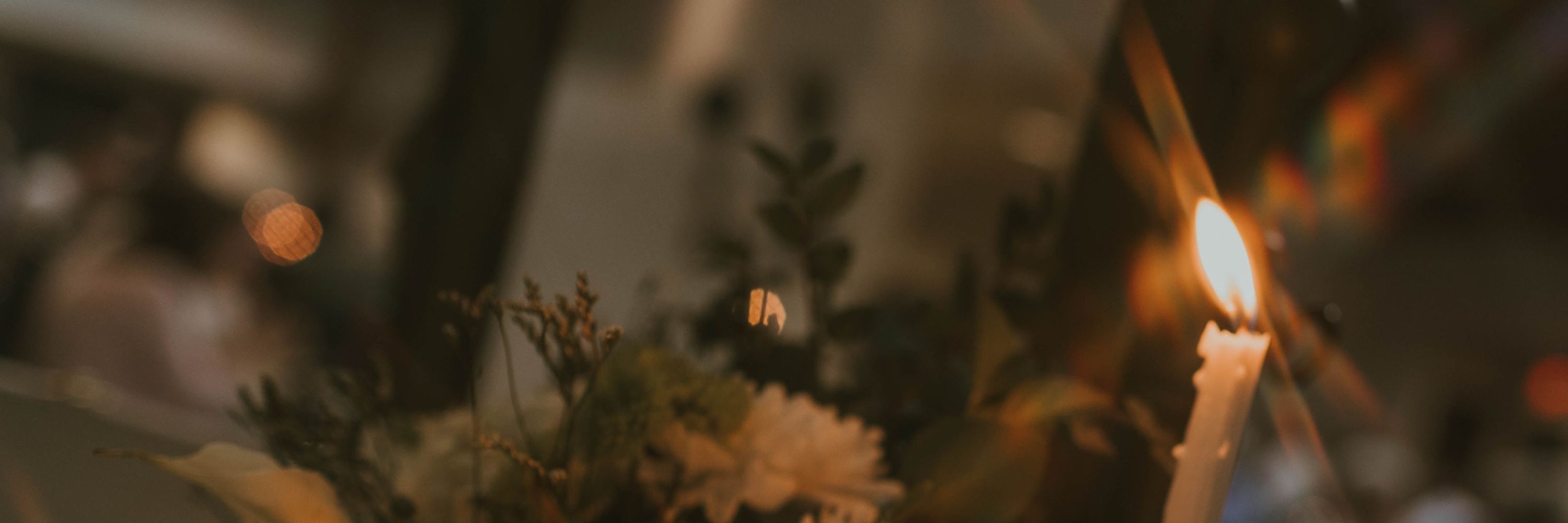 Froggie 🌿