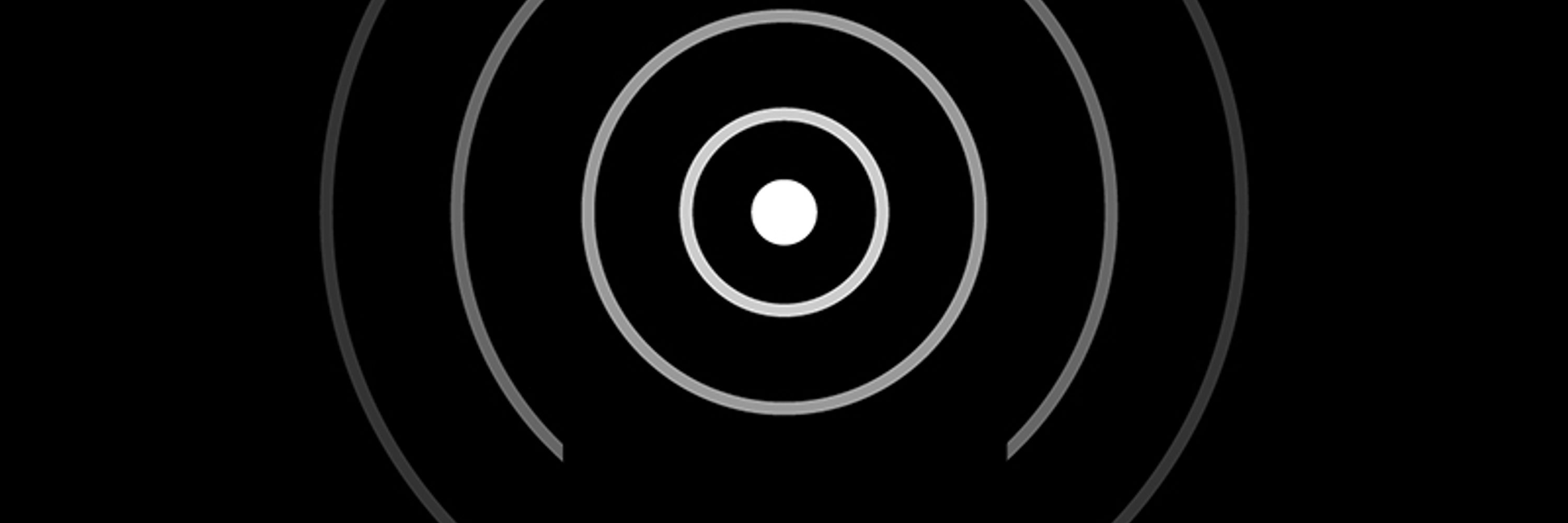 Singular Echo Inc. 
