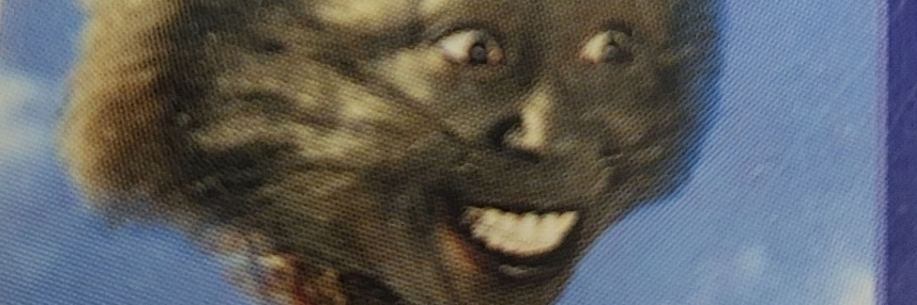 HamboJankins