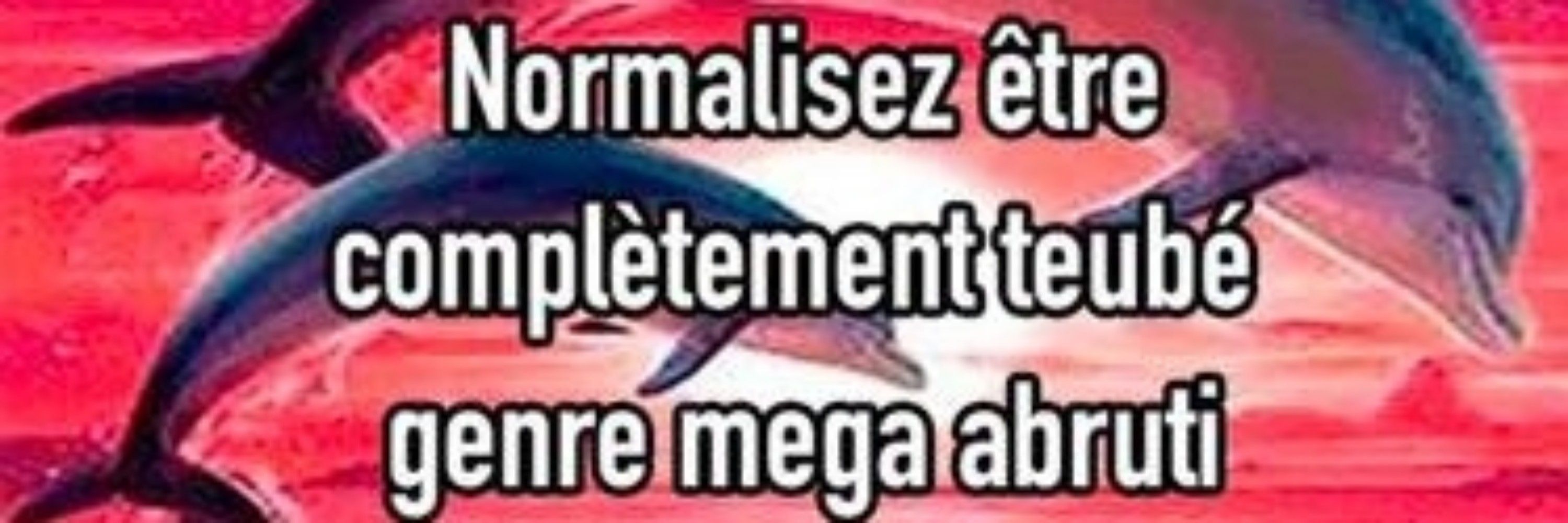 Dorimu