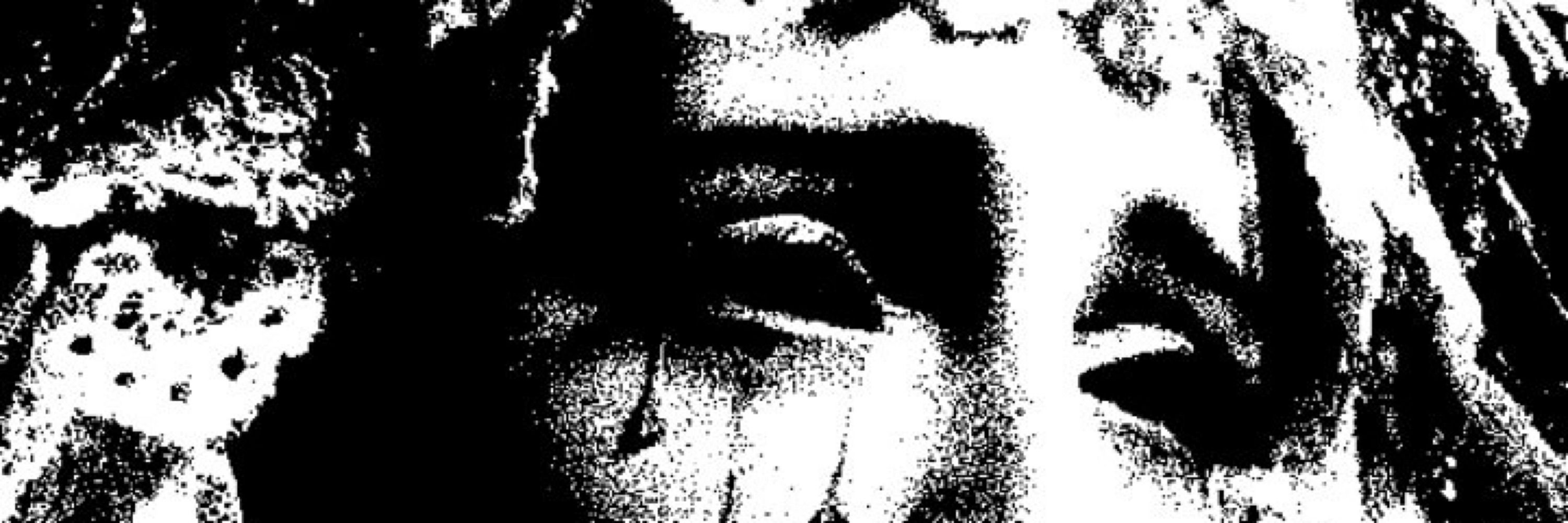 theo - doro 