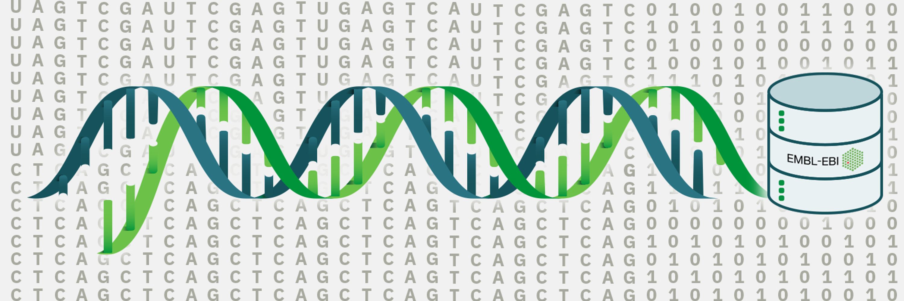 European Nucleotide Archive (ENA)