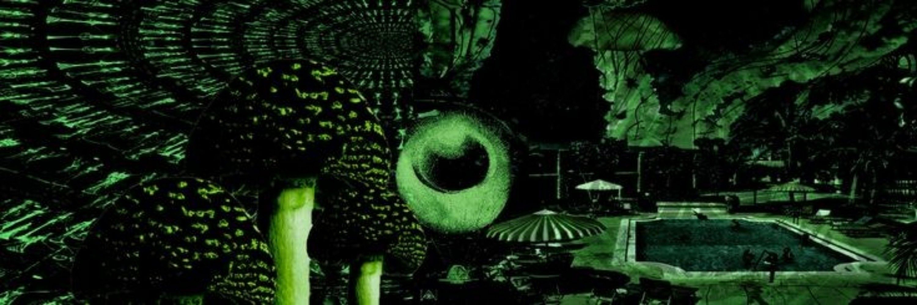 kiwi🏳️‍⚧️