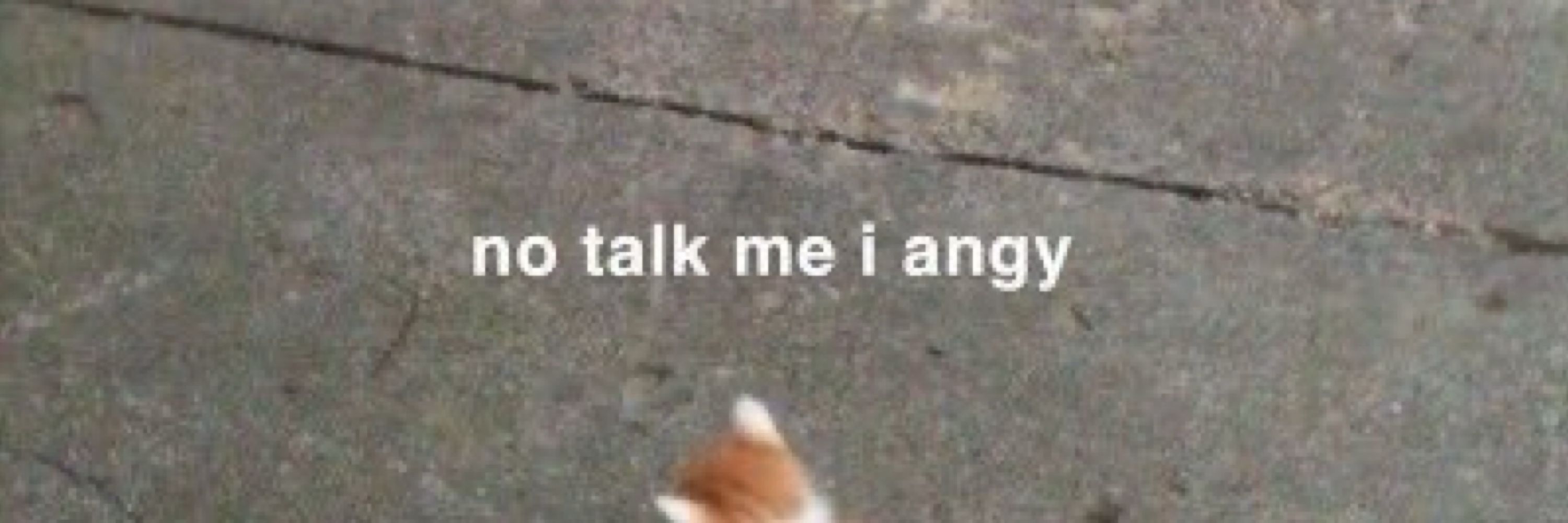 andy