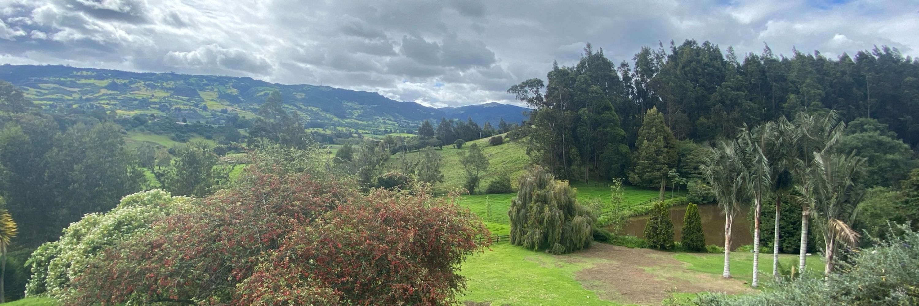 Pau