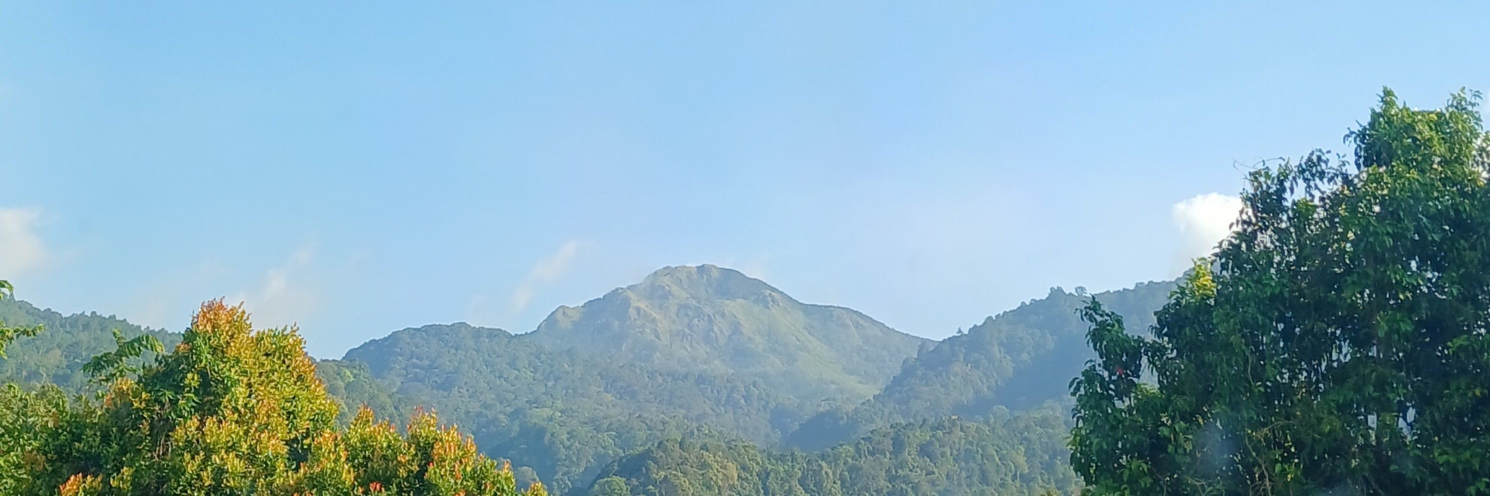 reviyo