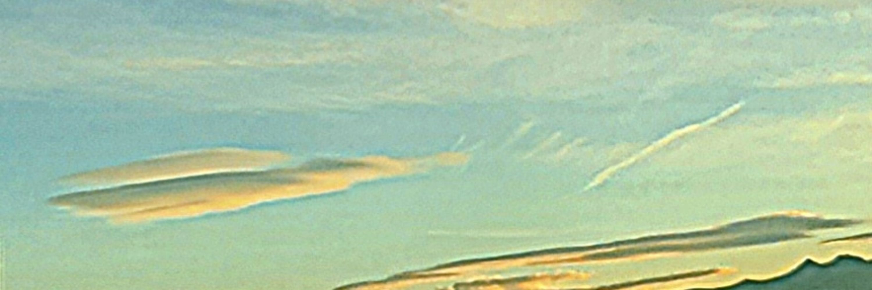 Terra Incognita