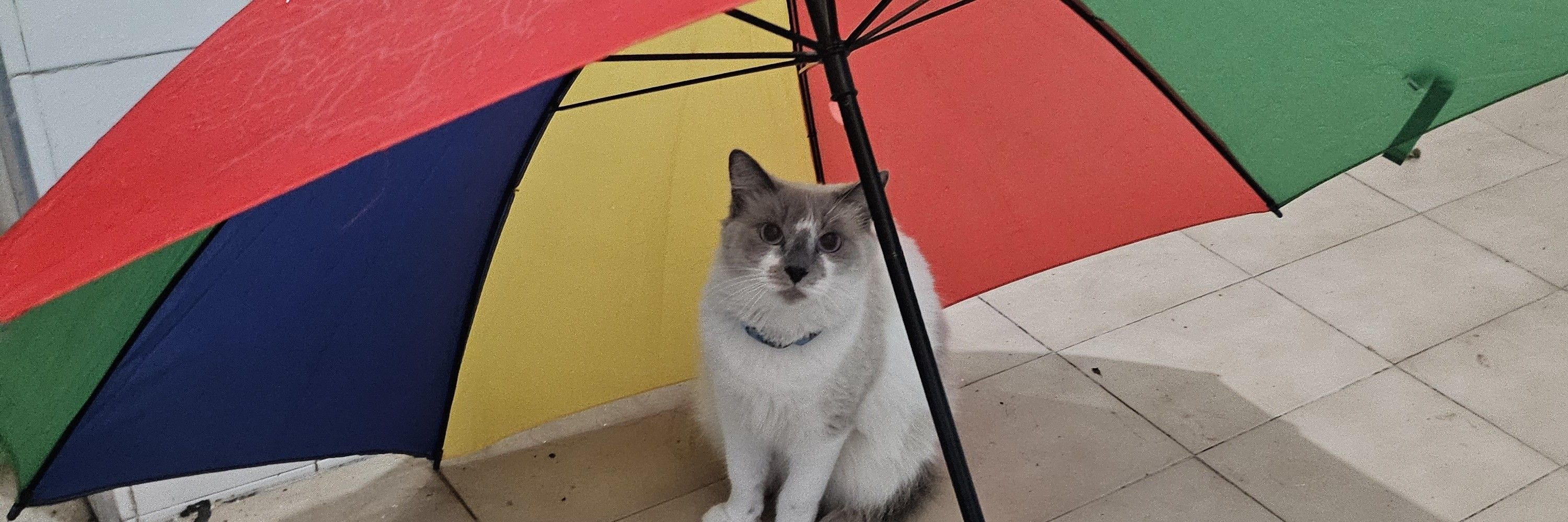 Igor