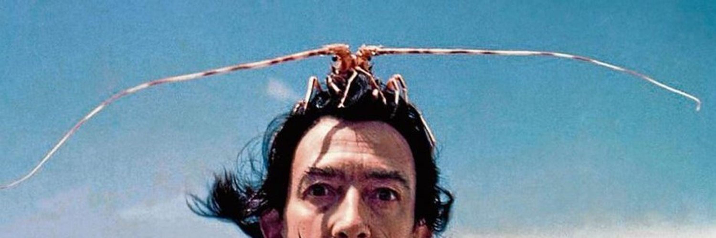 Dave Grant