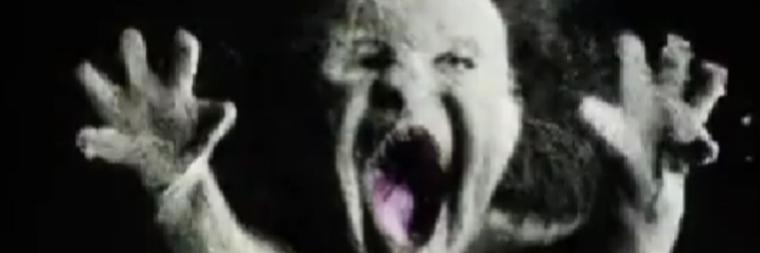 Zev