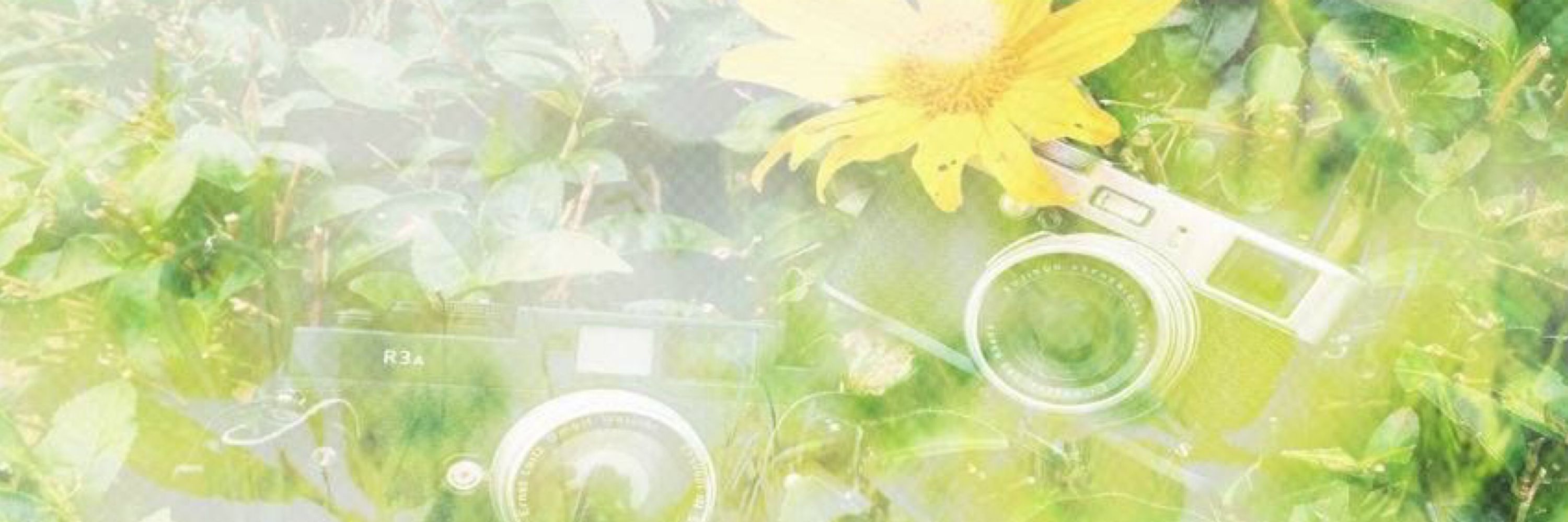 Eiko 🌻✨ (2-A)