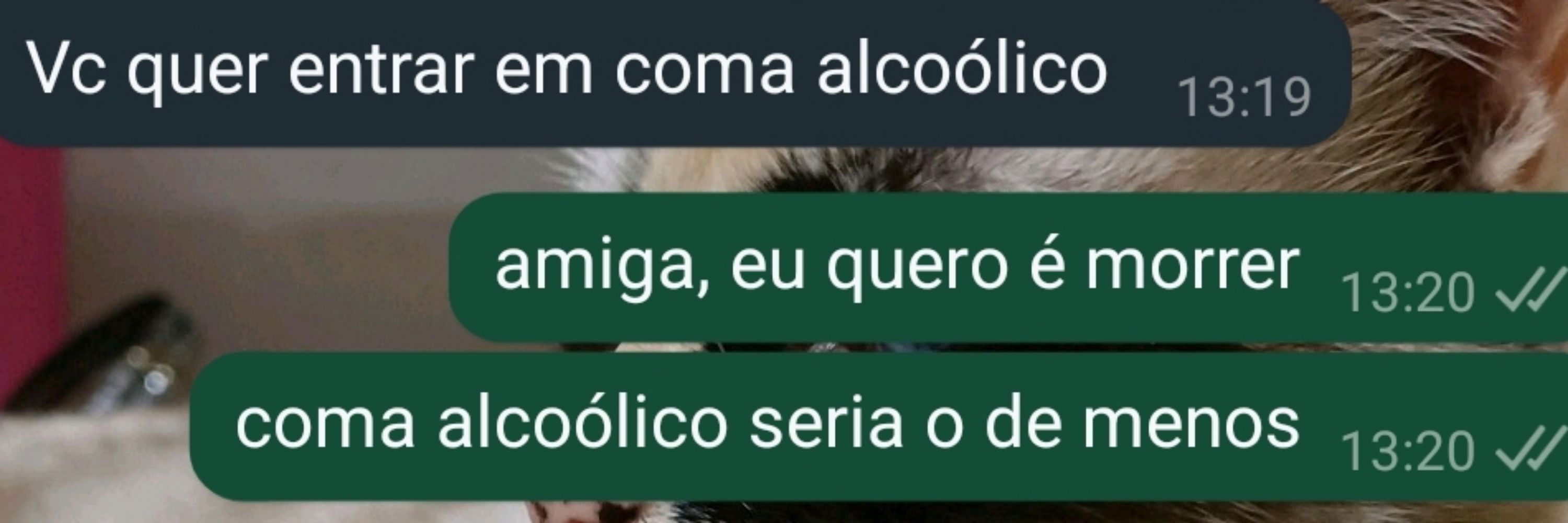 maliciosa