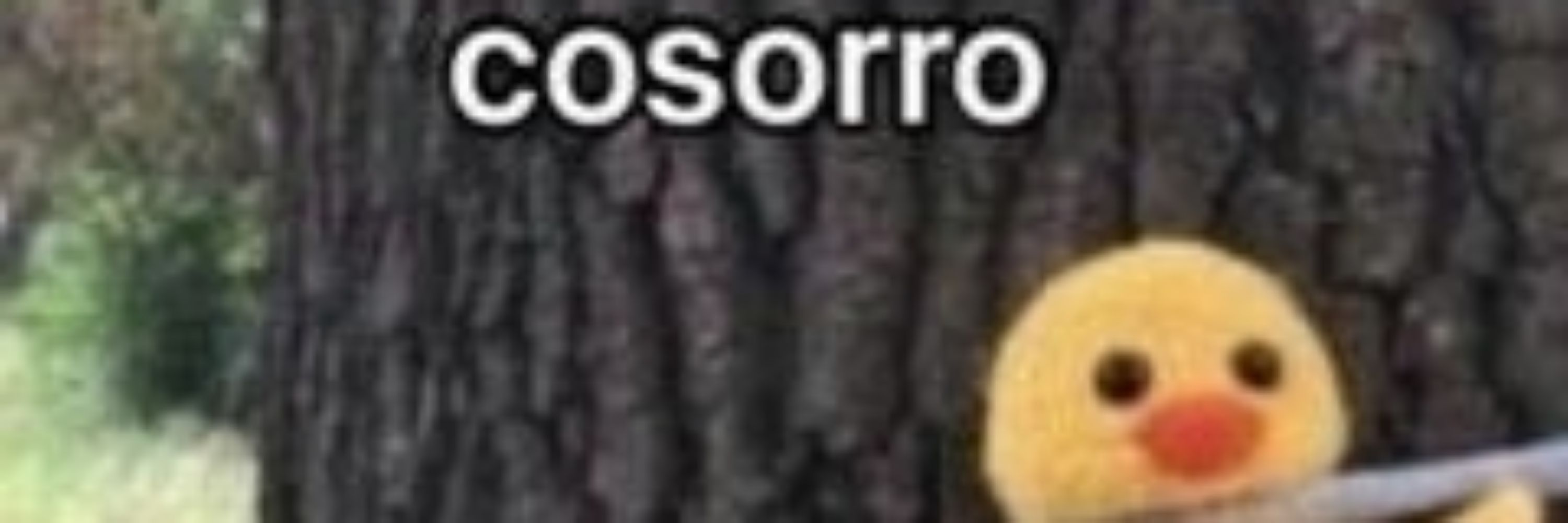 Memes Extremamente Específicos