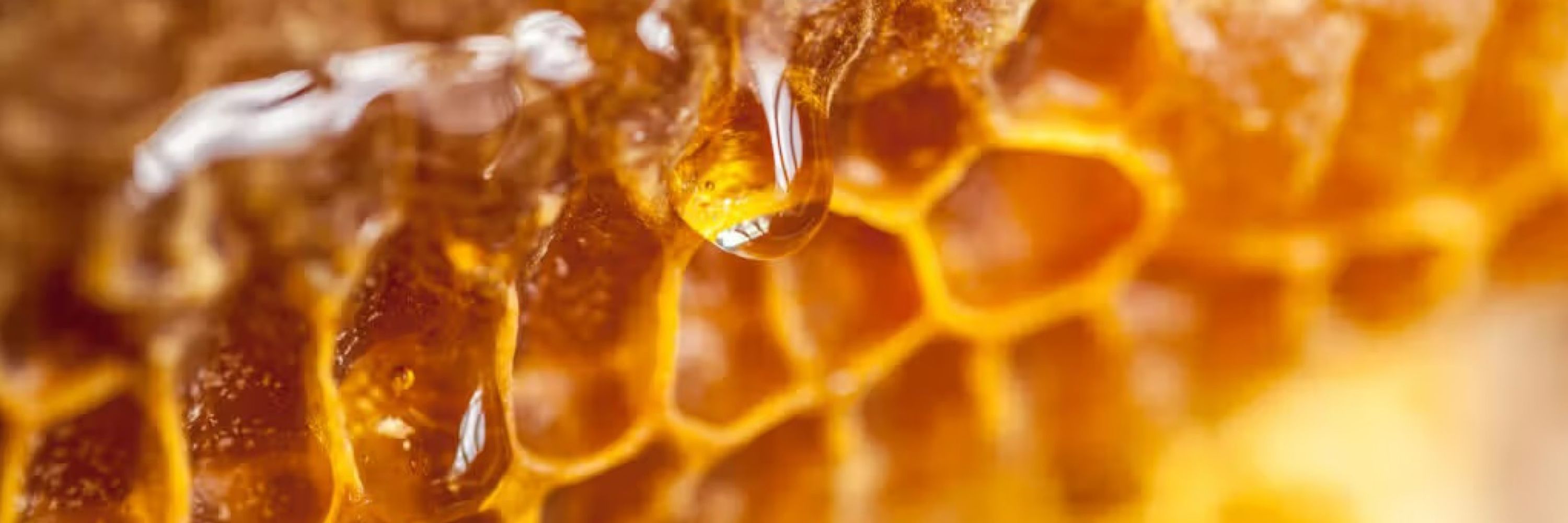 Honey