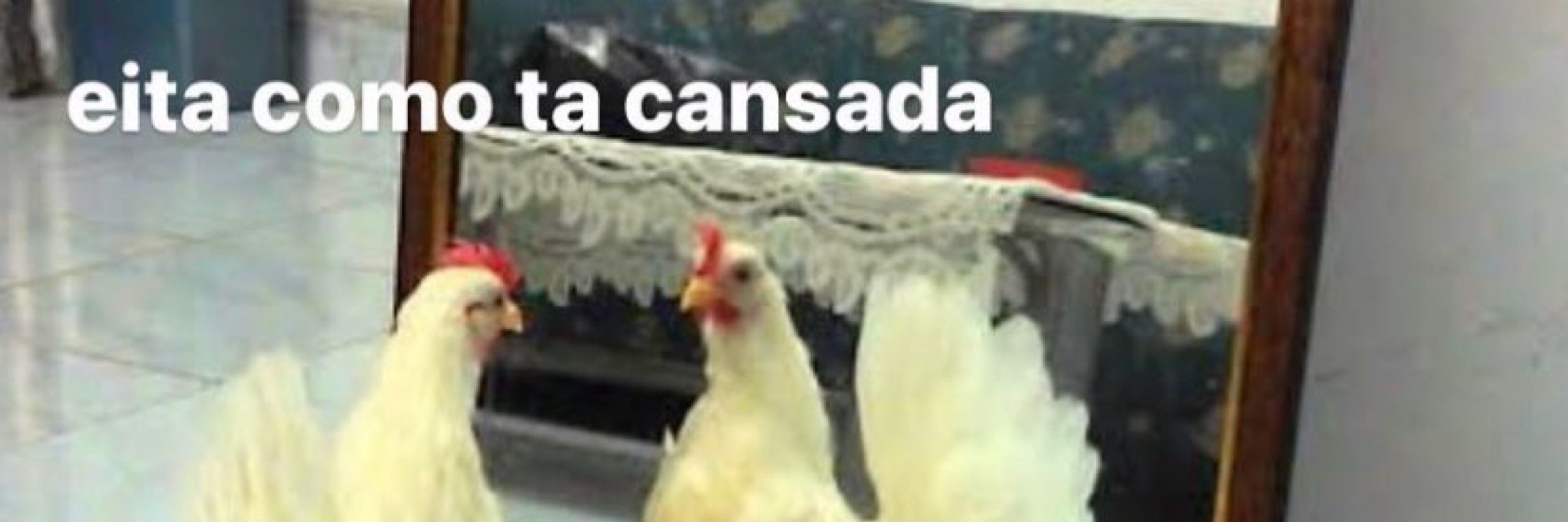 Trouxa