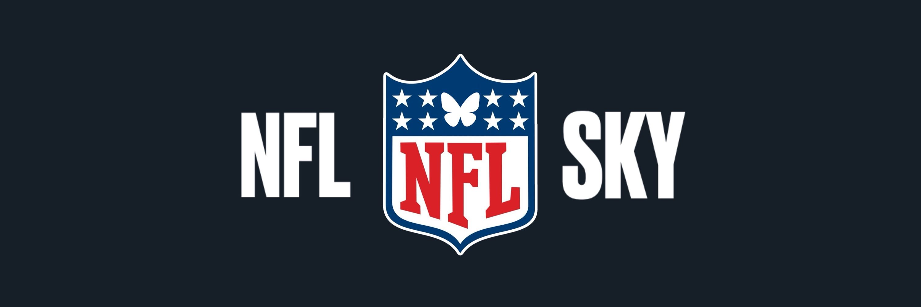 NFL UPDATES
