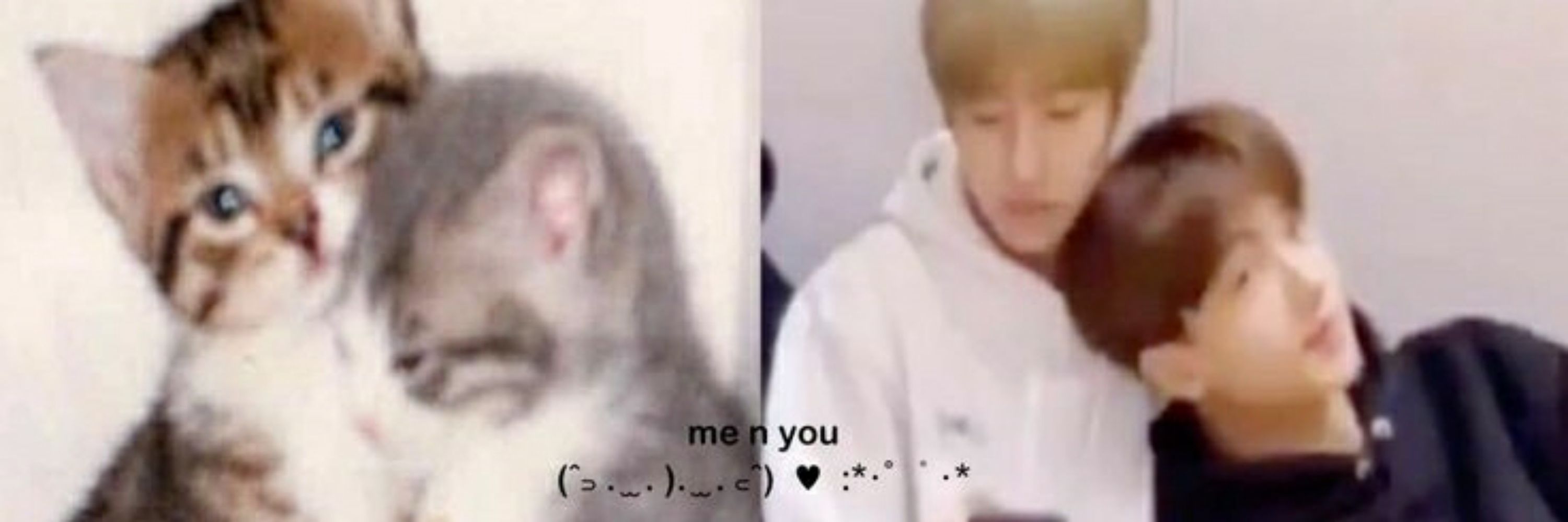 renjun da silva.