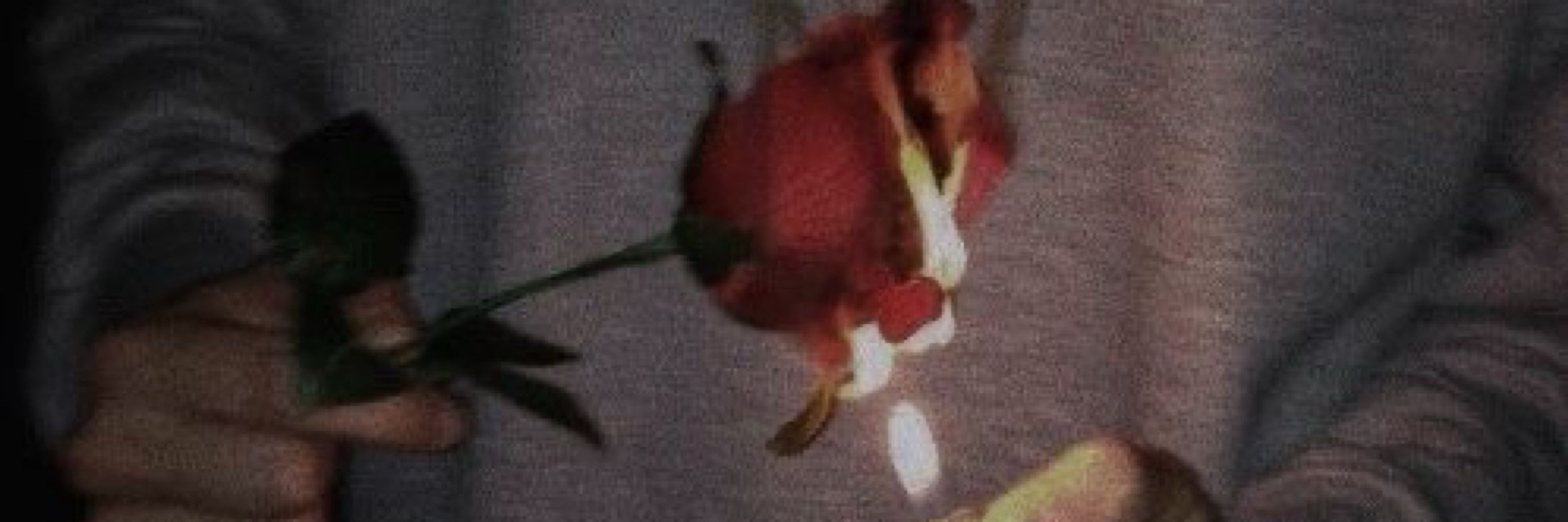 vi 🥀