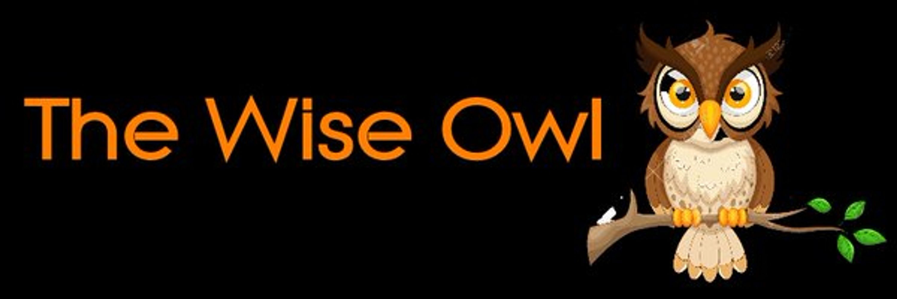 Trevor - The Wise Owl, artist.