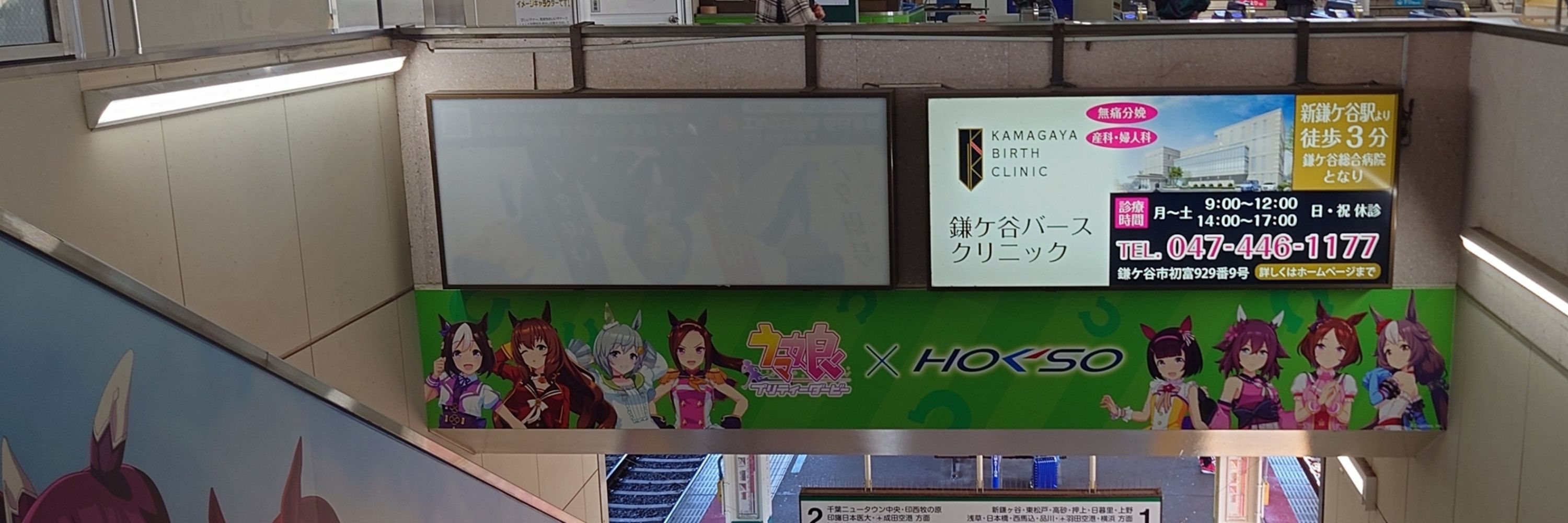 ネモｻﾝ🥕
