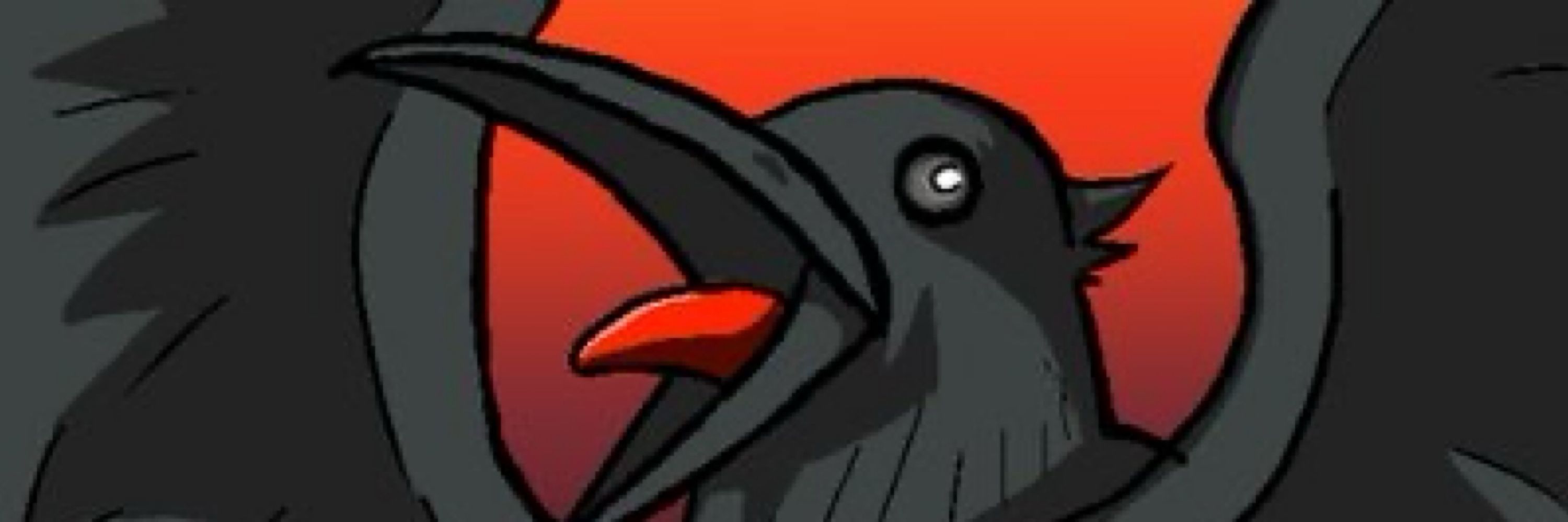RavenSUG