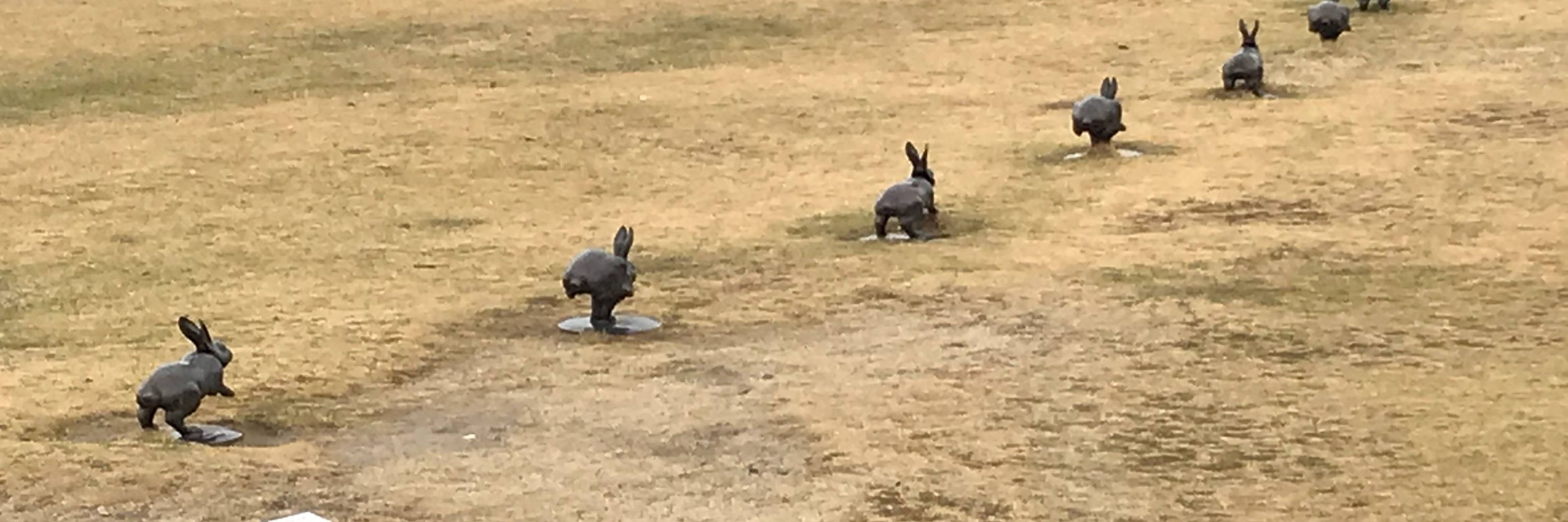 髙橋愛