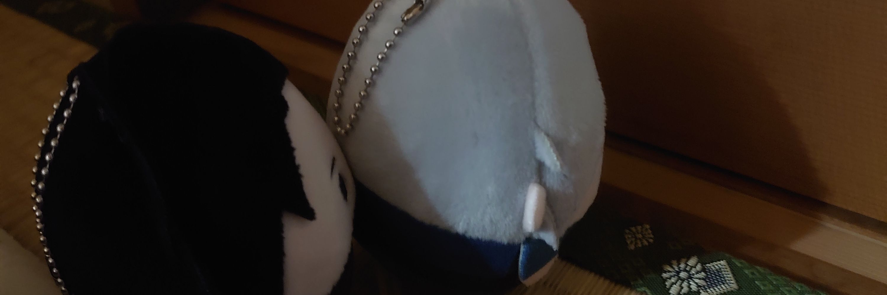 カットバン