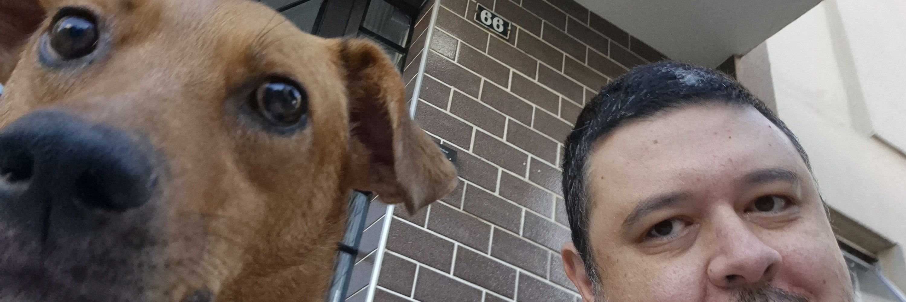 Rex Zapatta 🐶❤️🏳️‍🌈