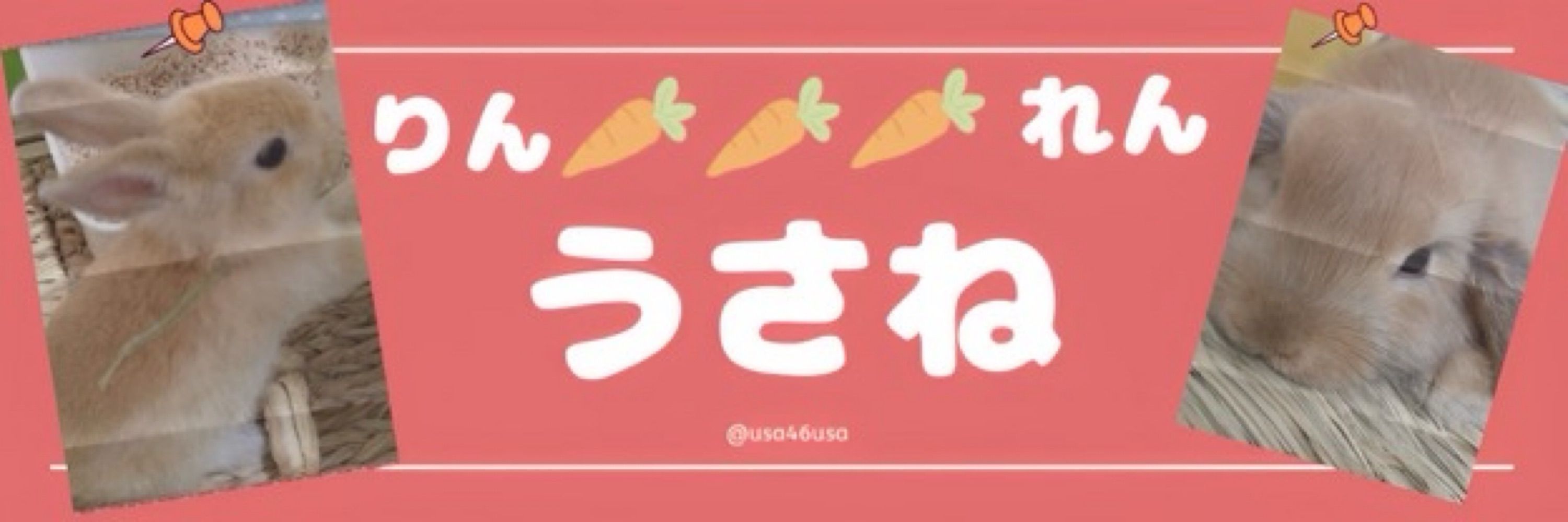 うさね🐰🥕🌙