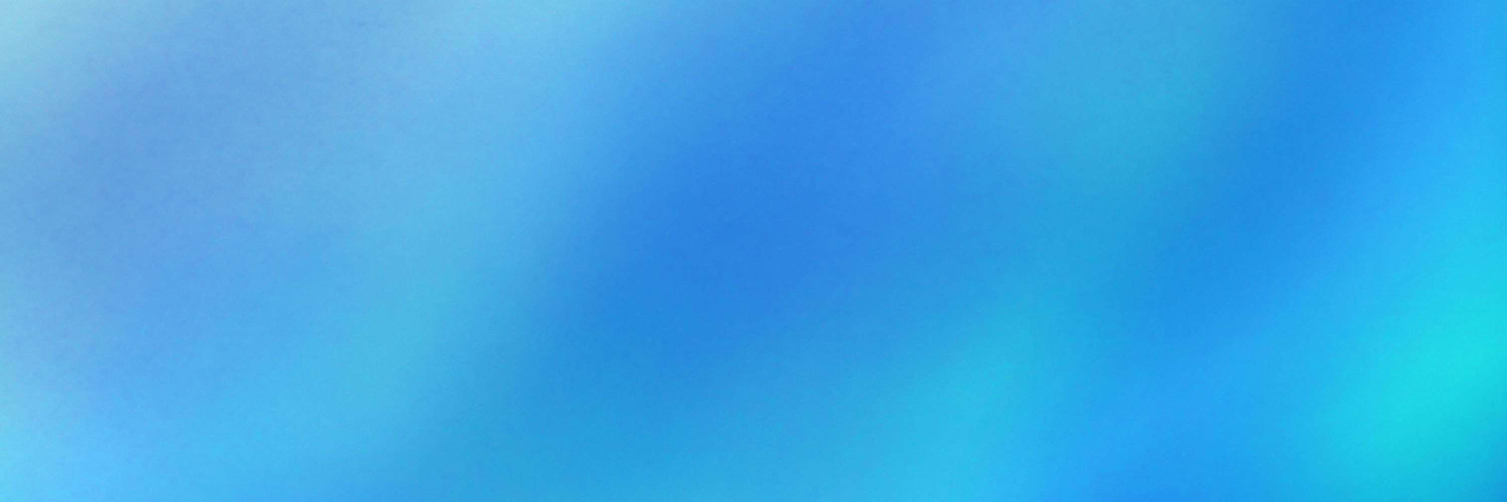 青海苔