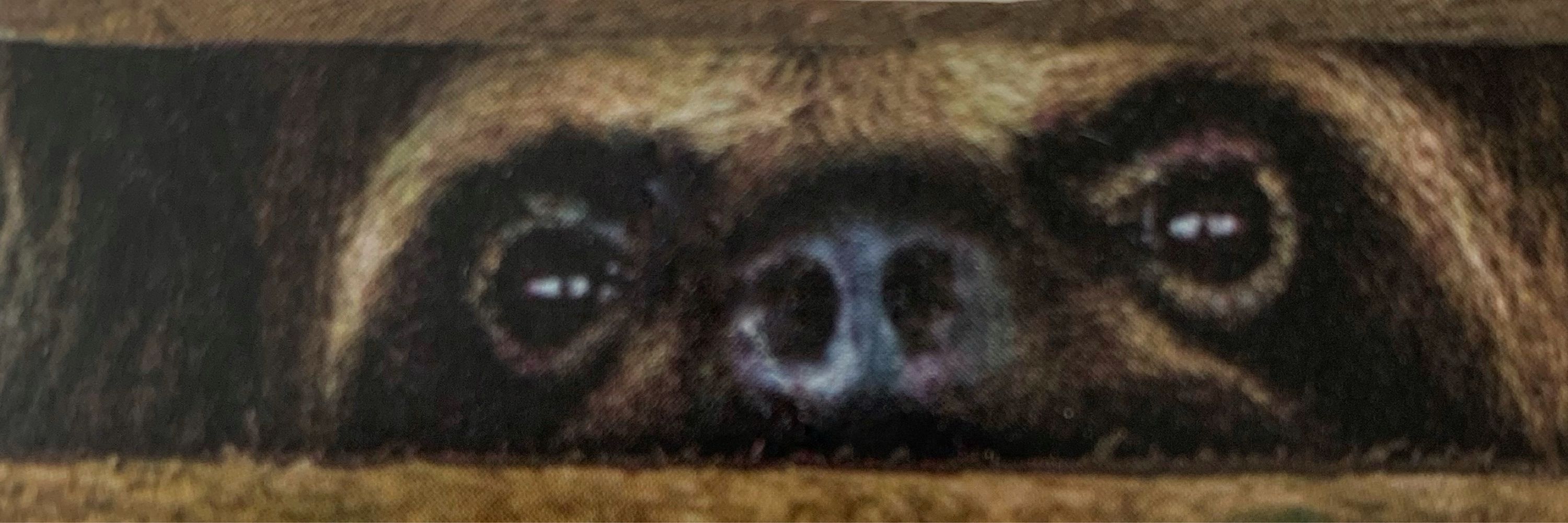 SCROW