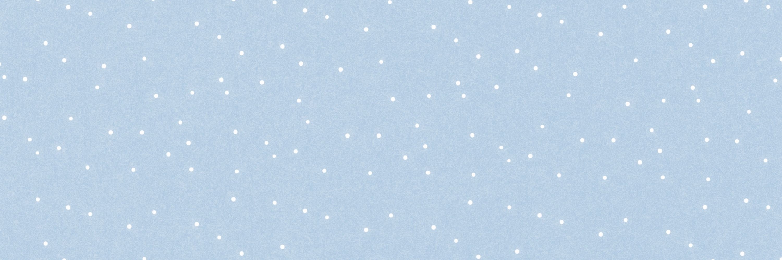 수달